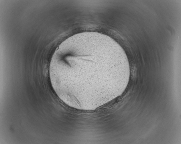 X0000111941204200909071252