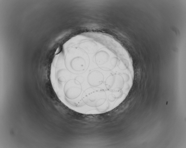 X0000111941205200909071252