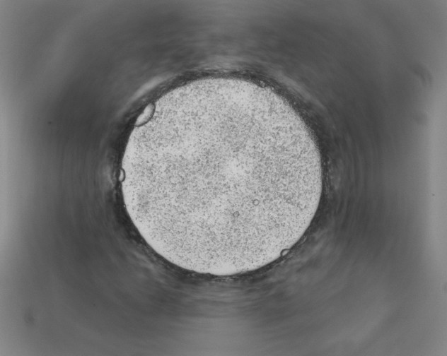 X0000111941206200909071252