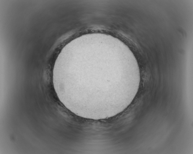 X0000111941207200909071252