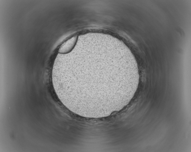 X0000111941208200909071252