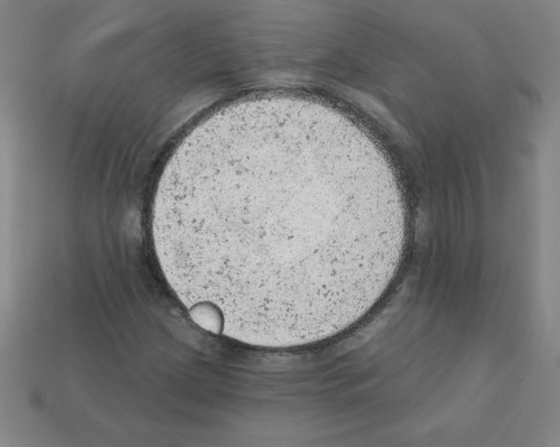 X0000111941209200909071252