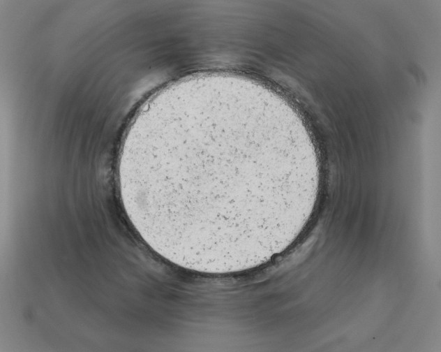 X0000111941210200909071252