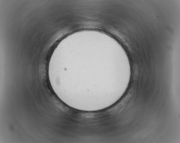 X0000111941211200909071252