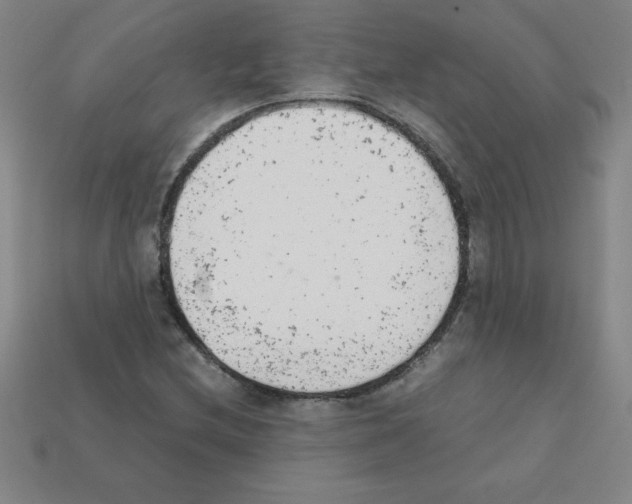 X0000111941212200909071252