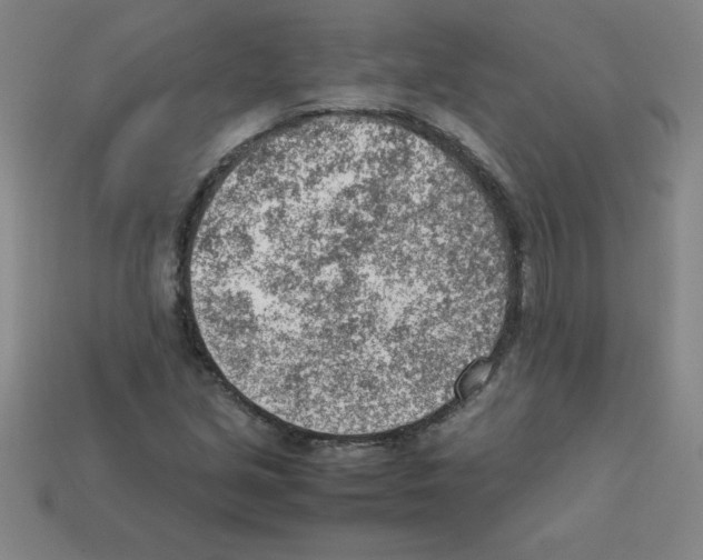 X0000111941213200909071252