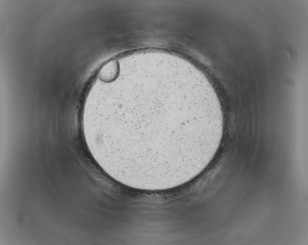 X0000111941214200909071252