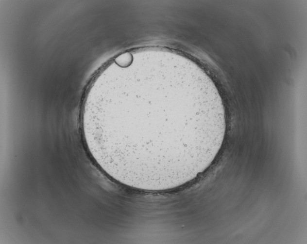 X0000111941216200909071252