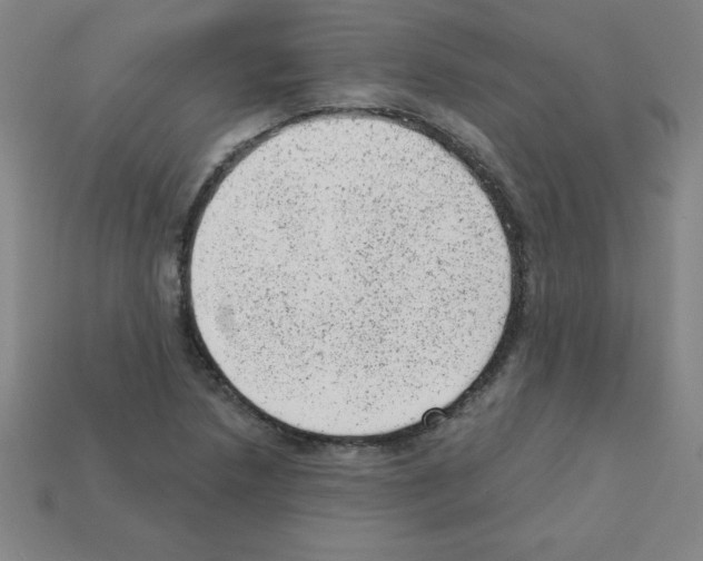 X0000111941218200909071252