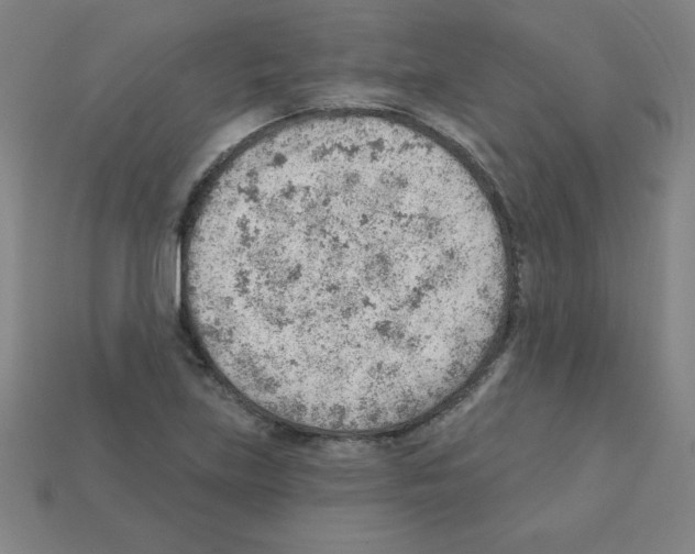 X0000111941219200909071252