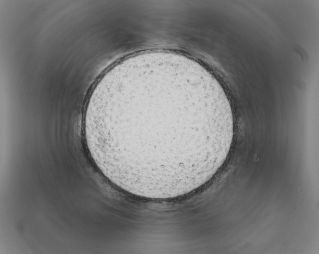 X0000111941220200909071252