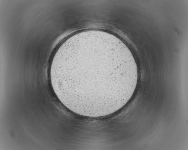 X0000111941222200909071252