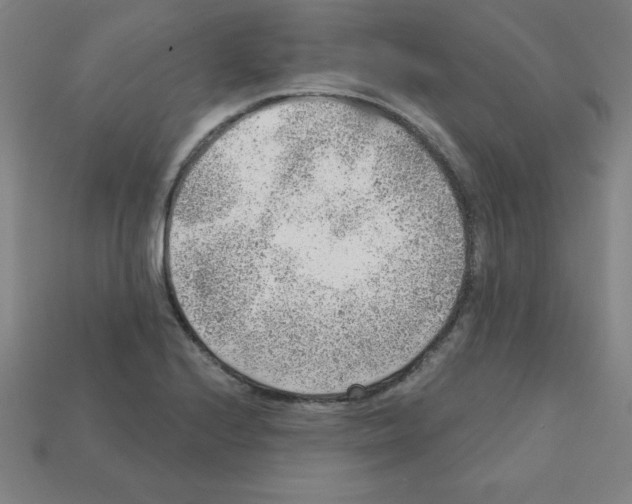 X0000111941224200909071252