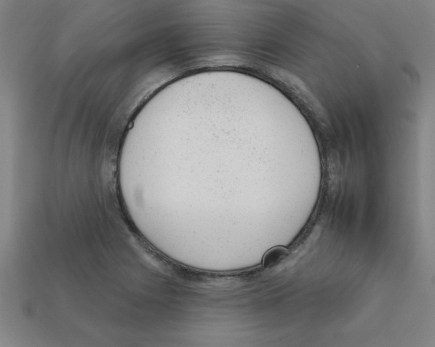 X0000111941225200909071252