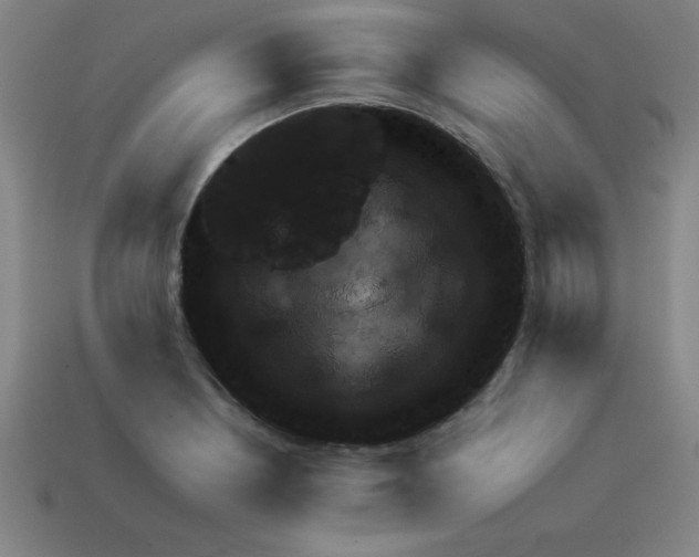 X0000111941226200909071252