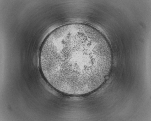 X0000111941227200909071252