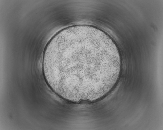 X0000111941228200909071252