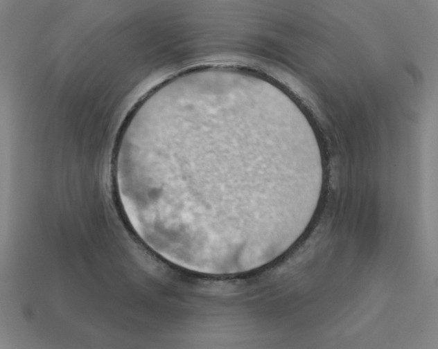 X0000111941229200909071252