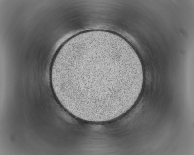 X0000111941230200909071252