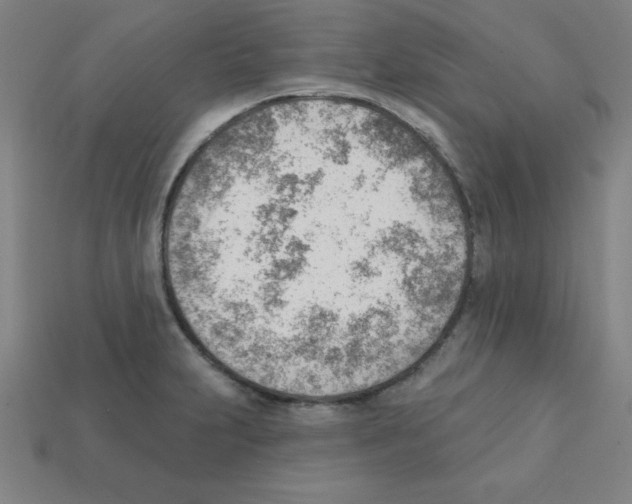 X0000111941231200909071252