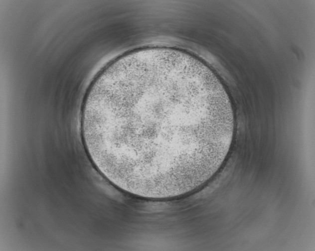 X0000111941232200909071252