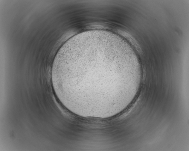 X0000111941233200909071253