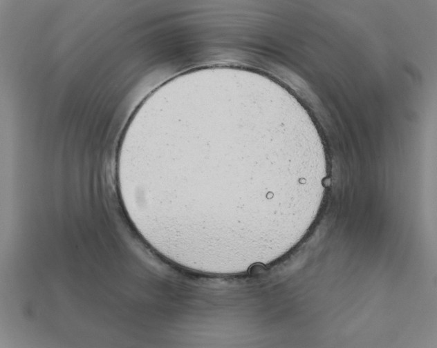 X0000111941234200909071253