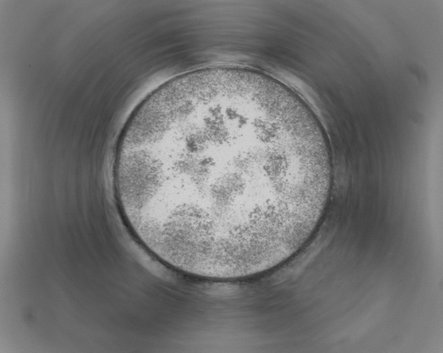 X0000111941235200909071253
