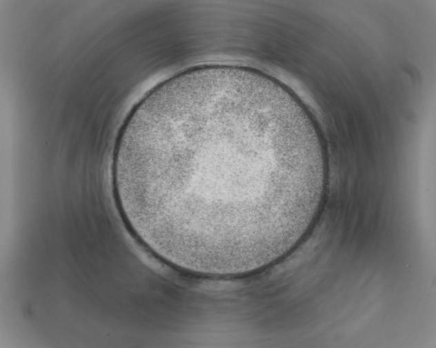 X0000111941237200909071253
