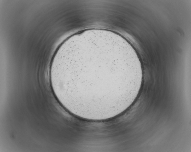 X0000111941238200909071253