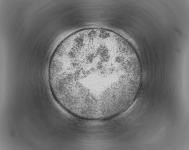 X0000111941239200909071253