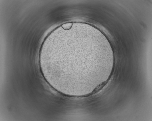 X0000111941240200909071253