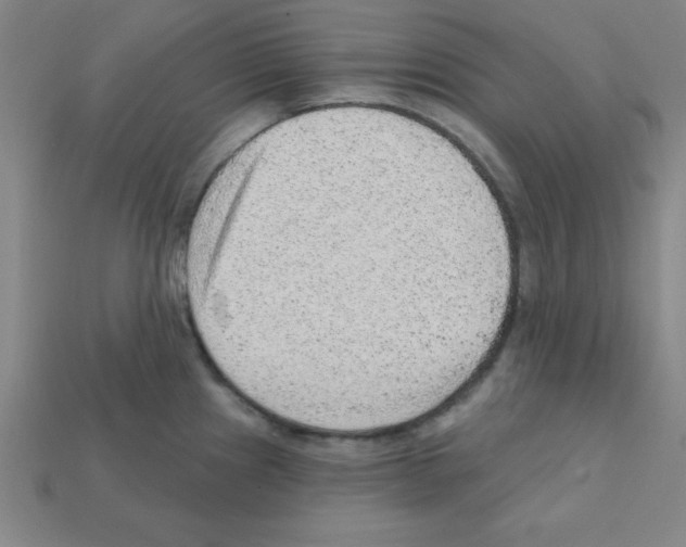 X0000111941241200909071253