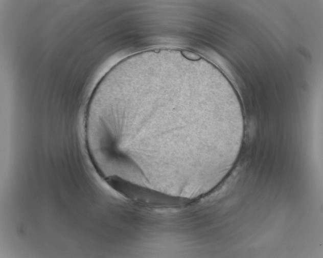 X0000111941243200909071253