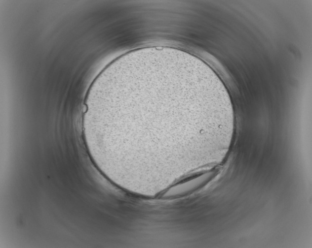 X0000111941244200909071253