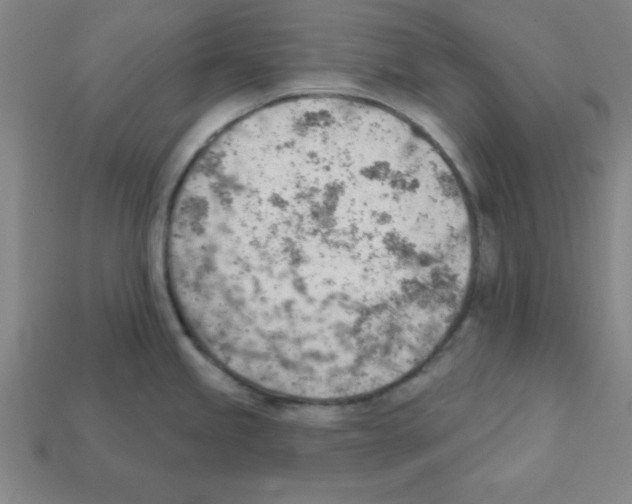 X0000111941245200909071253