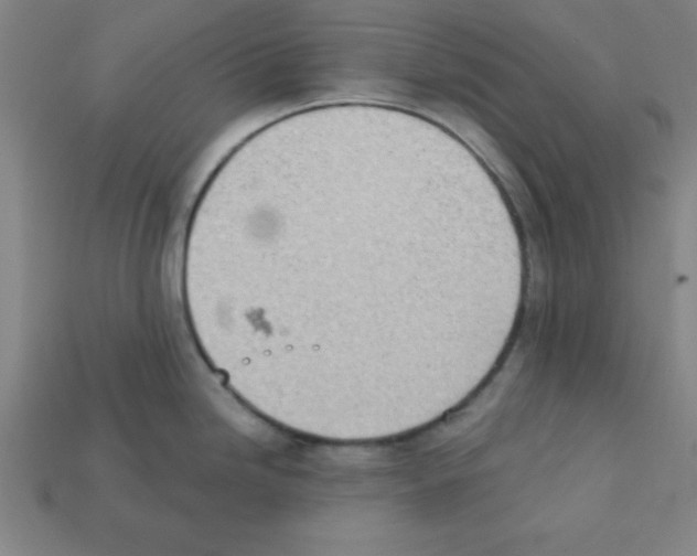 X0000111941246200909071253