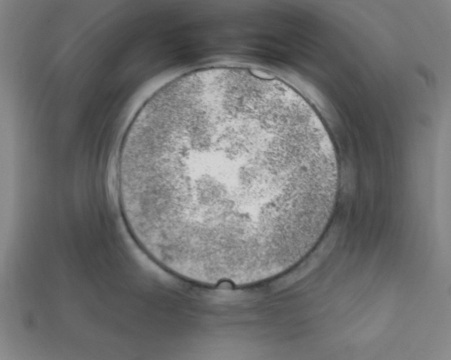 X0000111941247200909071253