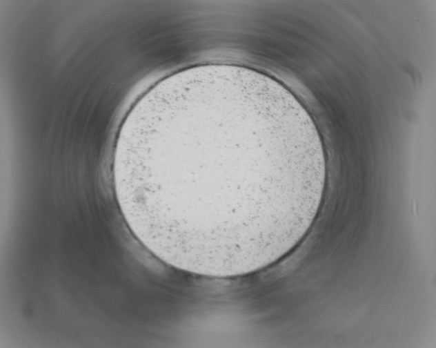 X0000111941248200909071253