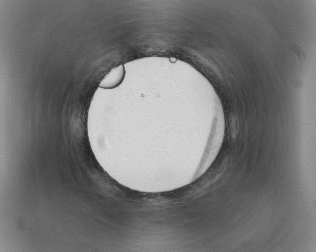 X0000111941250200909071252