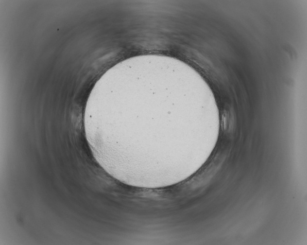 X0000111941251200909071252