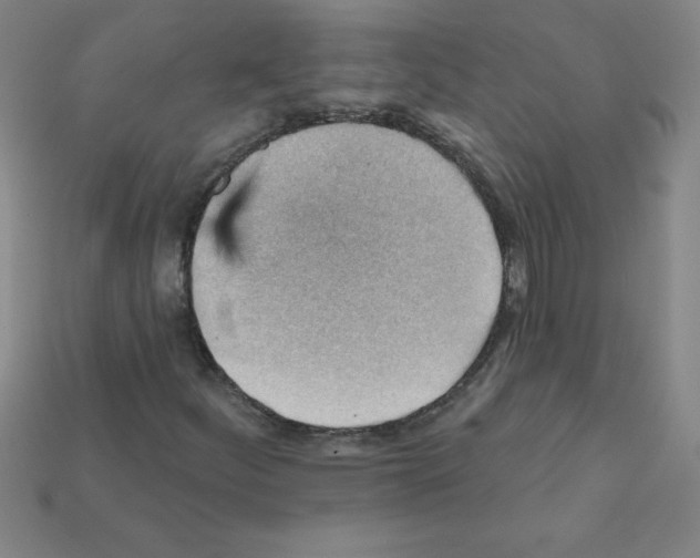 X0000111941252200909071252