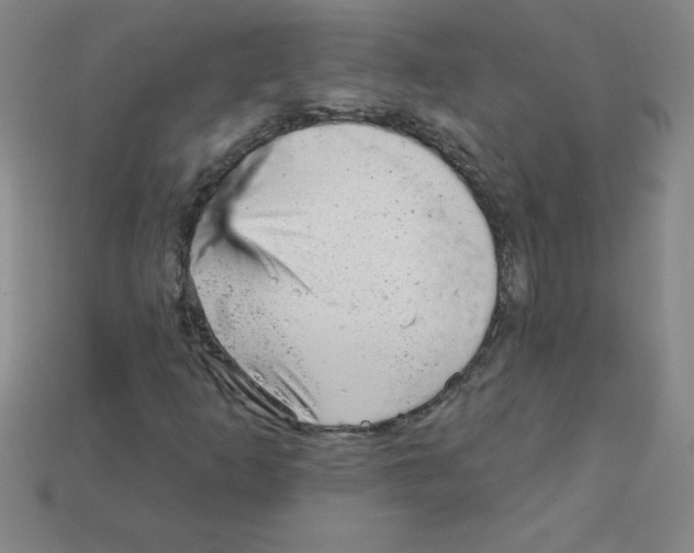 X0000111941253200909071252