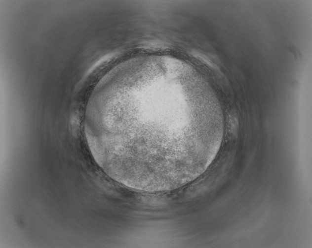 X0000111941254200909071252