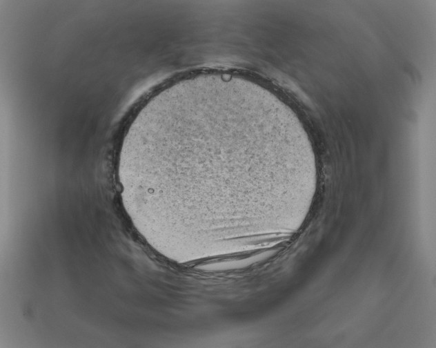 X0000111941256200909071252