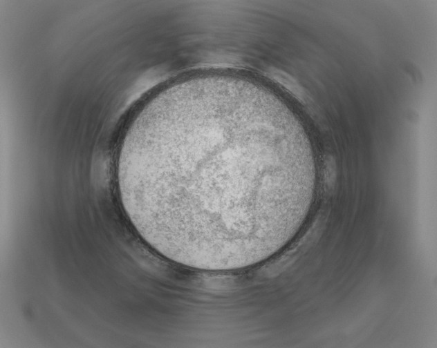 X0000111941258200909071252