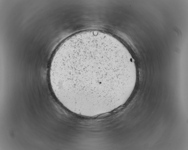 X0000111941260200909071252