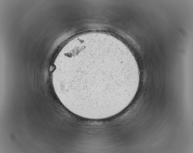 X0000111941261200909071252