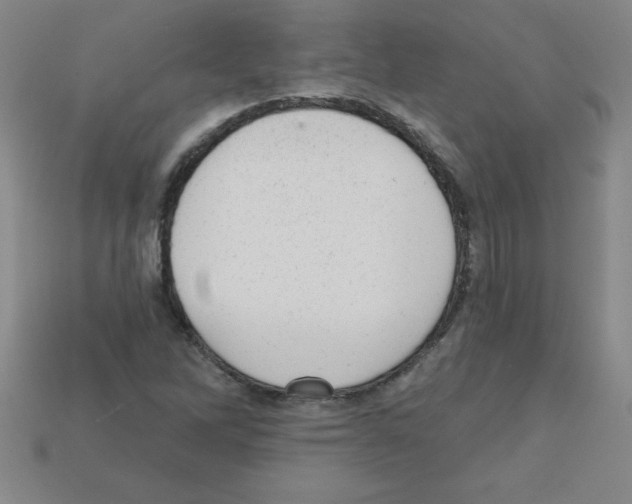 X0000111941262200909071252