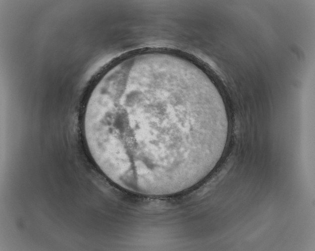 X0000111941263200909071252